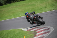 Lower Group Black Bikes